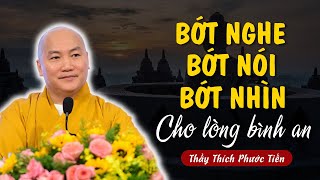 BỚT NGHE - BỚT NÓI - BỚT NHÌN (Cho Tâm Thanh Tịnh, Cho Lòng Bình An) | Thích Phước Tiến Vấn Đáp