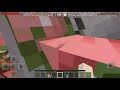 what's inside a pig