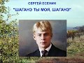 С.Есенин "Шаганэ ты моя, Шаганэ". Читает Владимир Ионченков