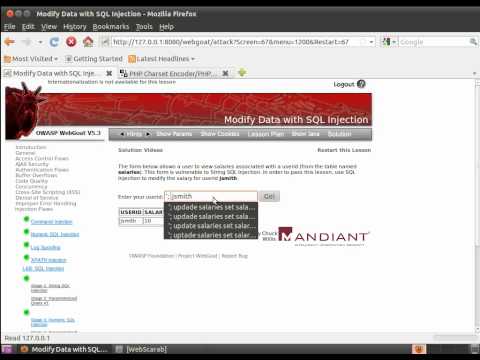Injections Flaws  - Modify Data with SQL Injection