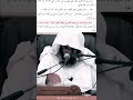 فإن الطريق بعيد وزادنا قليل 