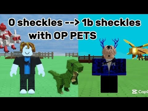 I Went From 0 Sheckles To 1b Sheckles In Grow A Garden With ONLY OP PETS!