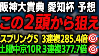 【阪神大賞典 愛知杯 2026 最終予想】導きだした本命馬と今回は変則的な買い目を徹底解説します