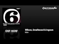 Wilson, Smallwood & Ingram - Koko (Original Mix) (PILOT039)