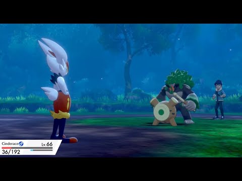 Pokémon Sword/Shield vs Hop (Post-Game)