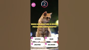 Mind-Blowing Riddles & Brain Teasers - Can You Solve Them? 🧠🔍