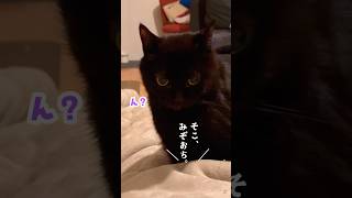 1日、秒で終わった。