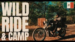 Solo Camping | Campfire in the Dark🔥 | Motorcycle Camping | [HARLEY DAVIDSON]