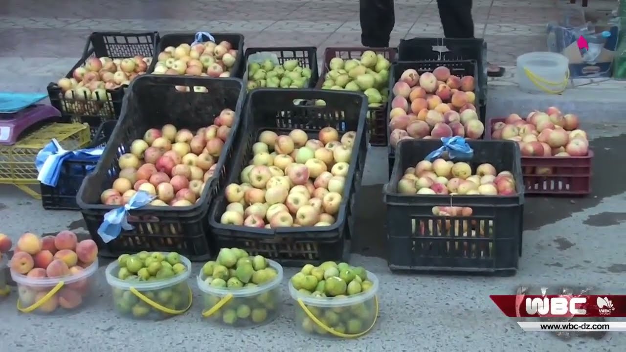 باتنة: إنطلاق تظاهرة سوق عيد الخريف بتكوت