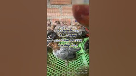 ✓✓𝗴𝗮̀ 𝗮𝗶 𝗰𝗮̣̂𝗽 𝘀𝗶𝗲̂𝘂 𝘁𝗿𝘂̛́𝗻𝗴 𝙃𝙤𝙩𝙡𝙞𝙣𝙚:0986.49.0000