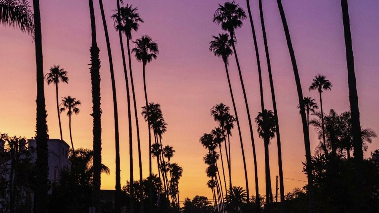 🌴🌊 10+ West Coast/R&B Guitar Sample Pack Loop Kit (BLXST, Ty Dolla $ign) - VOL. 4