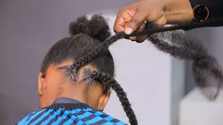 The Quickest Method For Natural Kinky Braids For Kids Especially The Beginners. screenshot 5