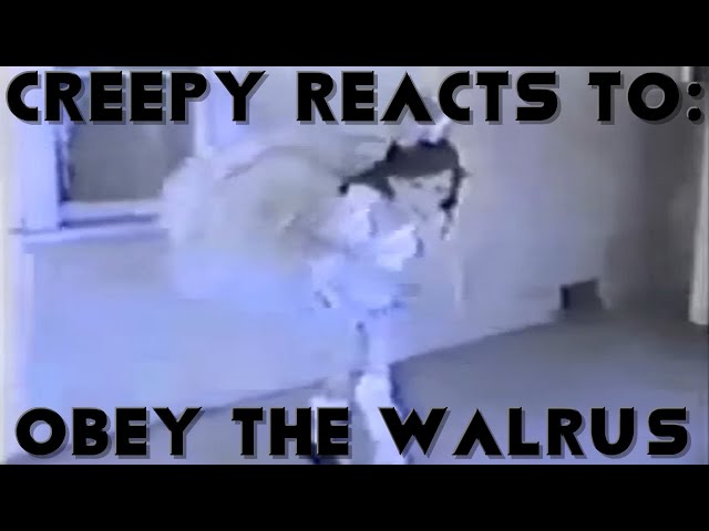 Obey the Walrus (Canon, Creepypasta)/Fnaf Reacts