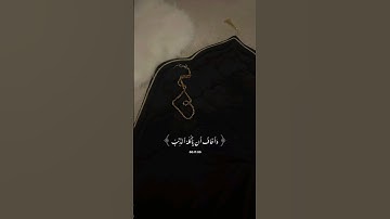تلاوة هادئة 🤍🌱 #فلسطين #allah #القرآن #غزة #الصلاة #راحة_نفسية #القدس #تحرير_فلسطين #صلاة #تلاوة 💕🪴