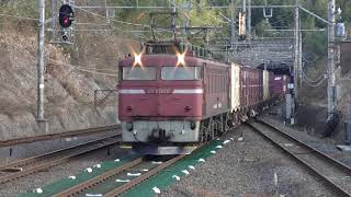 3096レ　EF81-406牽引(2012-01-14)