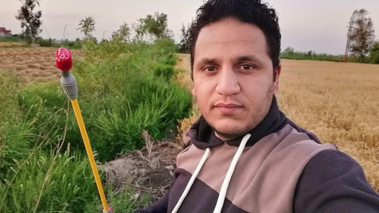 رش الحشائش الحوليه و المعمره (الغاب - النجيل) ومعلومات قيمه ومفيده