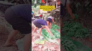 When Something Is Planted, There Is A Harvest.