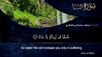 سورة النبأ للقارئ مجاهد الخالدي