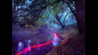 sub focus twilight