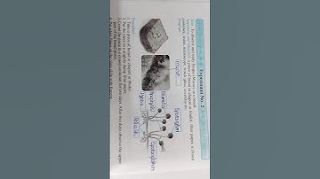 8th science experiment no 2 // 8vi science practical notebook experiment 2 #shorts #study