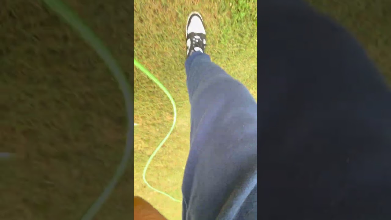 09.21.2025: The Wasp Nest on My Door: A Storytime Close Call | ⚠️🐝🟡⚫️⚠️🐝🟡⚫️⚠️🐝🟡⚫️⚠️🐝🟡⚫️⚠️🐝🟡⚫️⚠️🐝🟡⚫️