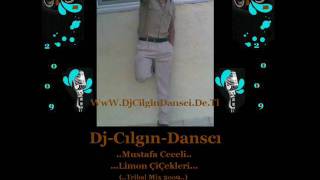 Dj Cilgin Dansci Vs Mustafa Ceceli Limon Cicekleri (Tribal Mix 2oo9) Resimi