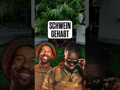 Schweine bringen ja Glück oder so 🐷❤️ #therace — Video von THE RACE auf YouTube