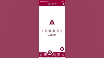 AUIB FM MEDIA_PLAYBACK permission in Android