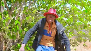 Download Lagu Siasa Harusi Ya Nchima Mbonge 2022 Official Video_Kishimba Studio_0785144119 MP3