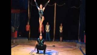 Ring perch