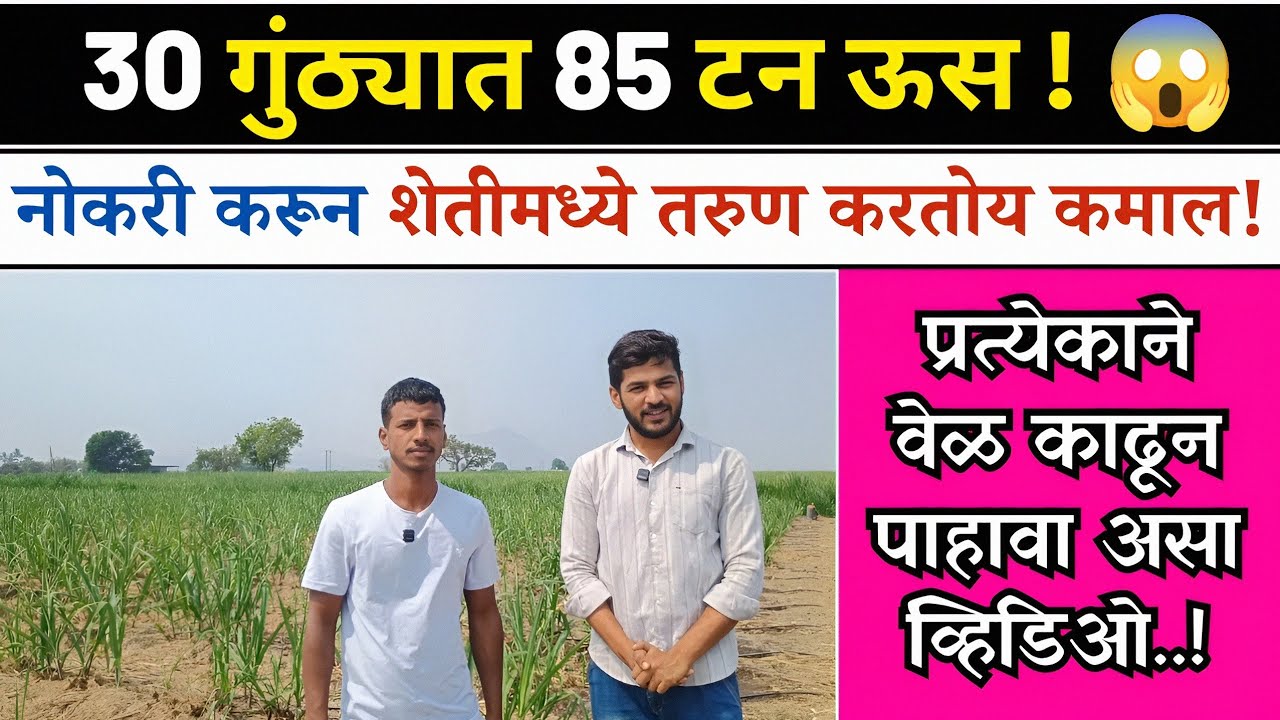 30 गुंठ्यातून 85 टन ऊस उत्पादन.. 😱 | Sugarcane Farming | नोकरी करून शेतीमध्ये तरुण करतोय कमाल!