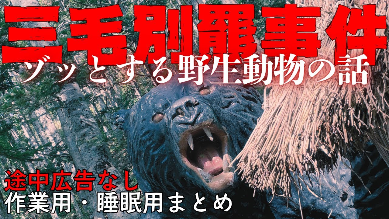 【睡眠用】三毛別羆事件 ゾッとする野生動物の話【たっくーtvまとめ】 作業用・睡眠用
