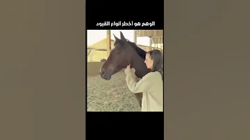 جرب روح جديد بشر وكاتالوس اغاني موسيقى اغنية ترند أغاني 2025 