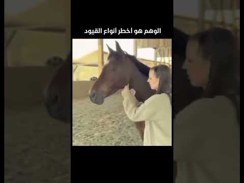 جرب روح جديد بشر وكاتالوس اغاني موسيقى اغنية ترند أغاني 2025