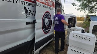 3 children rescued from same northwestern Iowa property where more than 100 dogs were removed