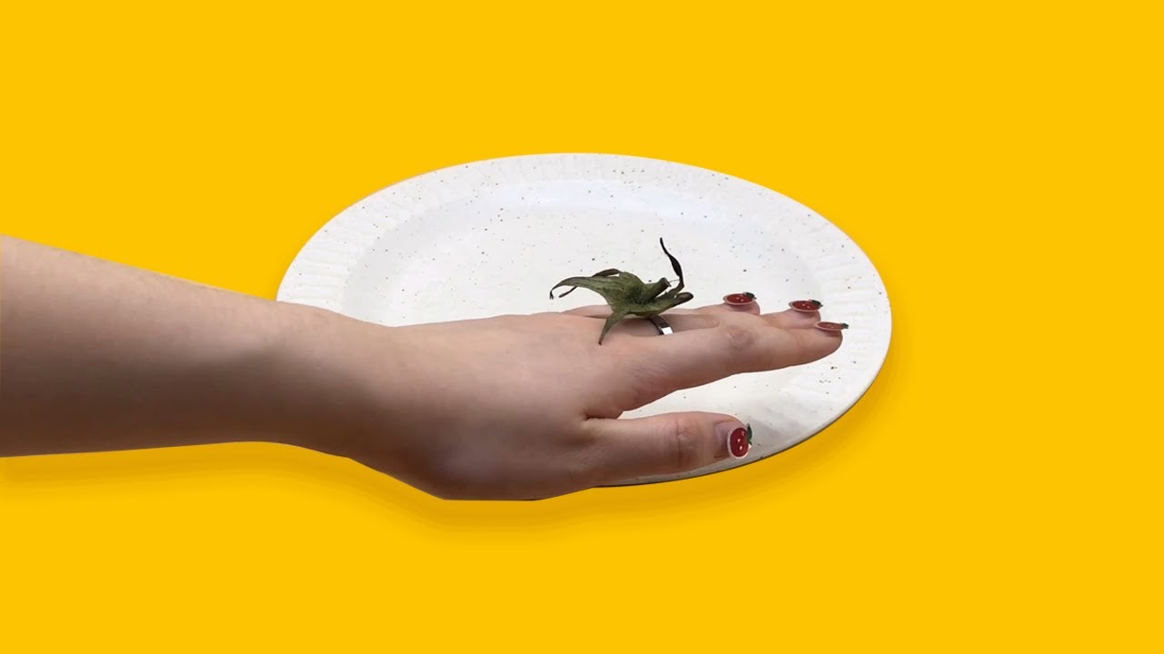 I love tomatoes YouTube