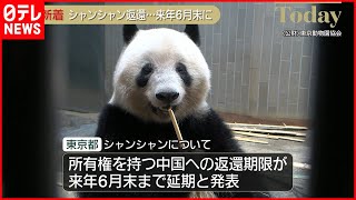 【3度目の延期】シャンシャン返還期限　来年６月末まで延期