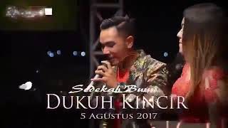 New Pallapa Luka Lama  Gerry Mahesa Ft Desy Thalita  Desa Kincir Juana Pati