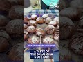Check out some of the new food you can try at the 2026 Oklahoma State Fair