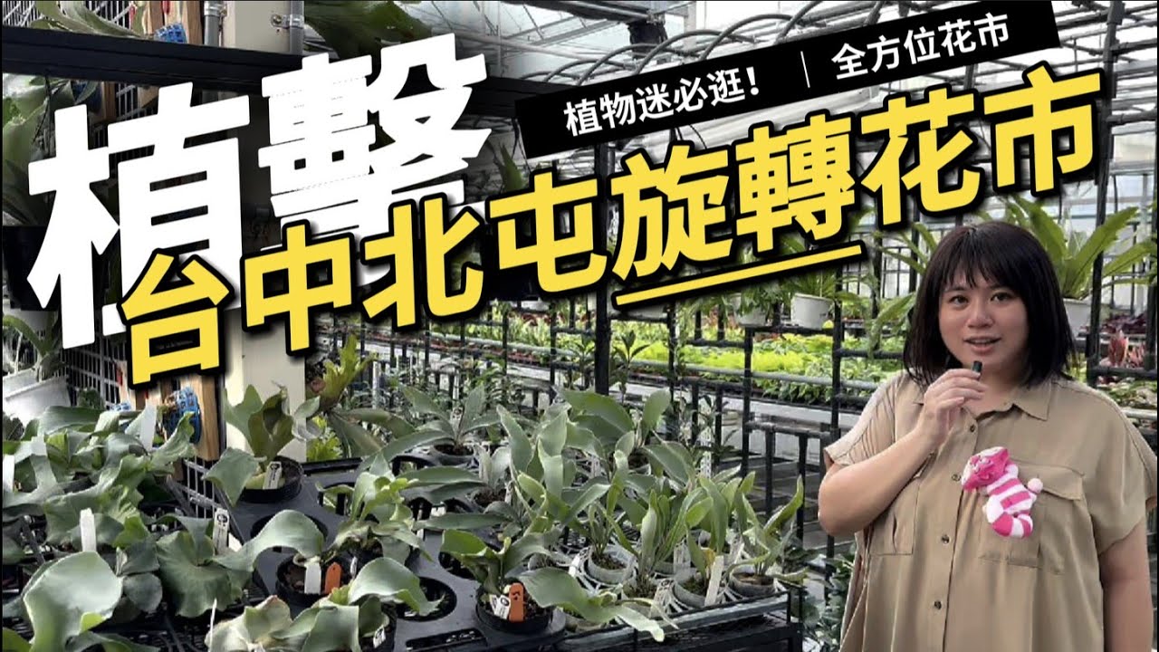 植擊！台中北屯「旋轉花市」 兩層樓逛爆全方位花市