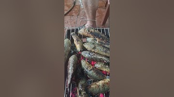 CÁ RÔ ĐỒNG NƯỚNG