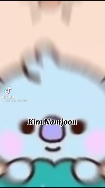 Kim Namjoon Kim Seokjin Min Yoongi Jung Hoseok Park Jimin Kim Taehyung Jeon Jungkook BTS