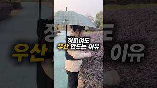 등으로 메는 우산 #꿀템 #꿀템추천 #추천템 #데일리템 #인테리어 #꿀팁 #우산