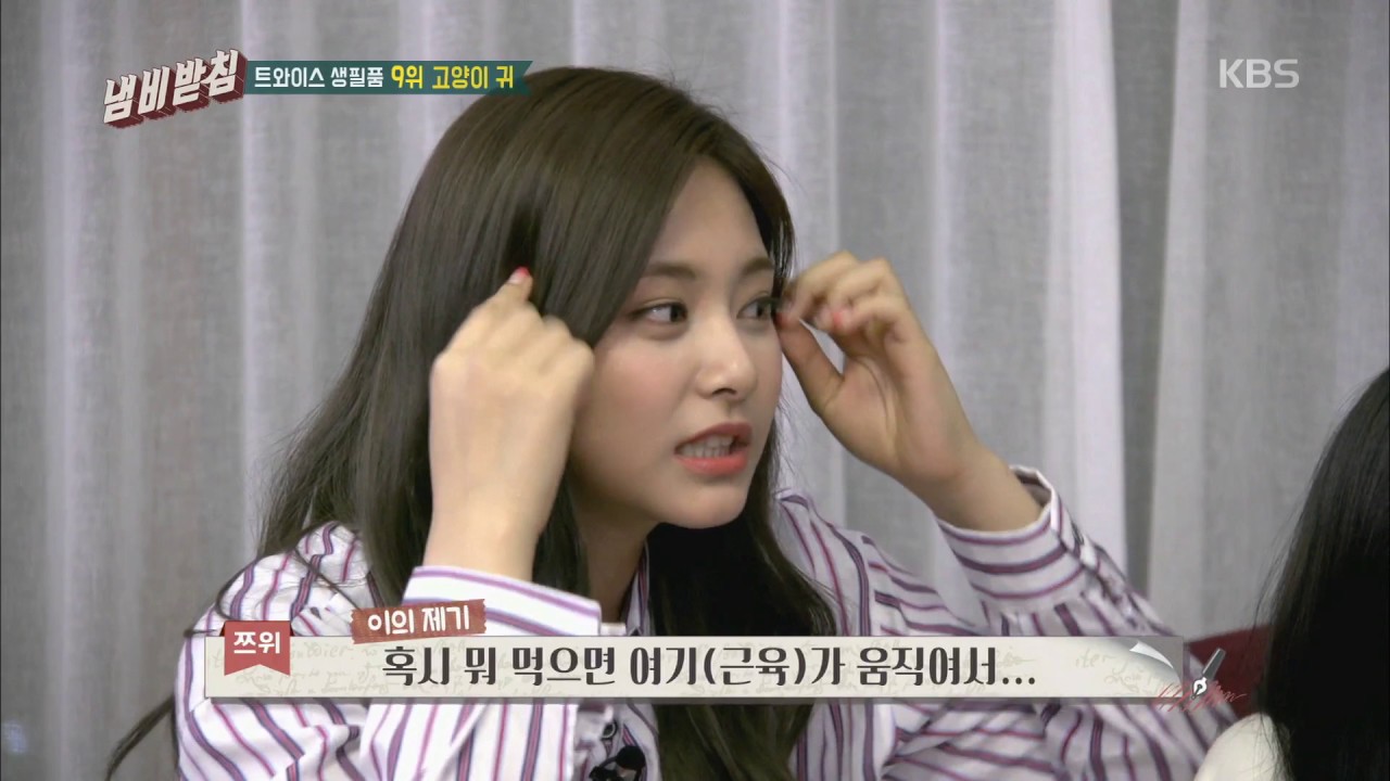 냄비받침 - (나름) 초대박 상품, 감정변화에 따라 움직이는 고양이 귀!. 20170620