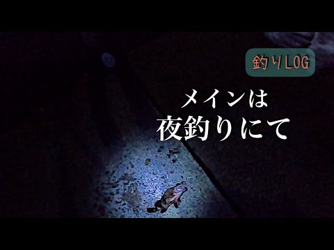 新潟海釣り昼と夜 アジングかメバリングか 海底にひそむ獰猛なフィッシュイーター参戦 昼間のサーフショアジギング Youtube 新潟海釣り昼と夜 アジングかメバリングか 海底にひそむ獰猛なフィッシュイーター参戦 昼間のサーフショアジギング Youtube
