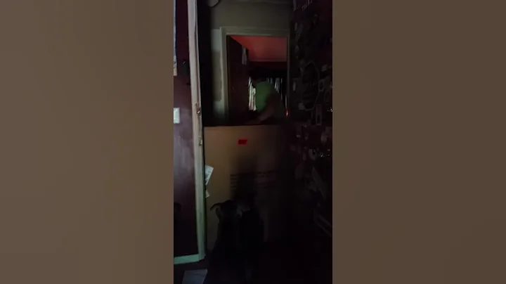 Titus thinks he's a Deer