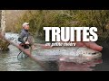 Pêche de la truite au leurre en petite rivière