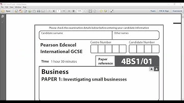 Edexcel IGCSE 2021 June| Investigating Small Businesses | Q4
