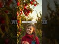 The Memory Garden Vines of Remembrance