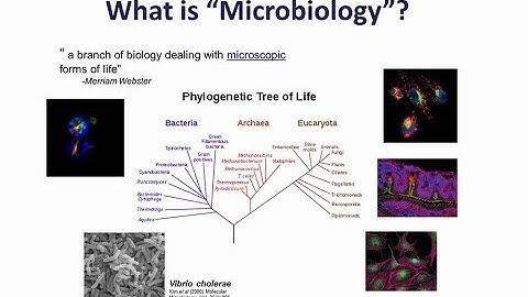 Flow cytometry in microbiological research